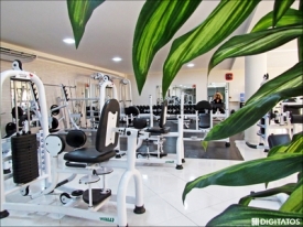 Musculação