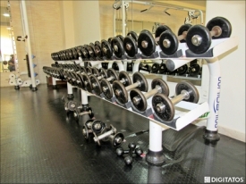 Musculação